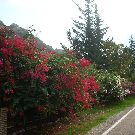 Narcicegi Semesterpark