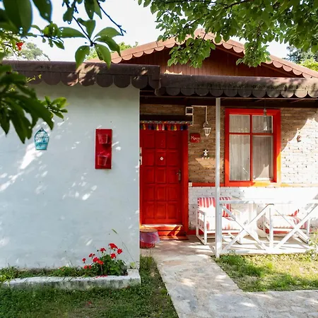 Narcicegi * Çıralı