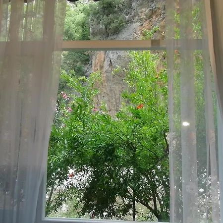 Semesterpark Narcicegi Çıralı